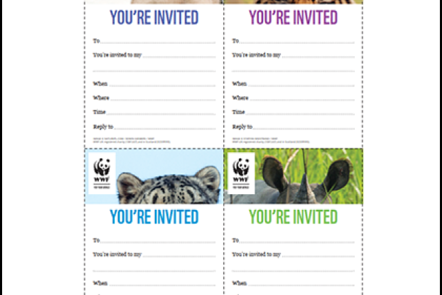 Invitations