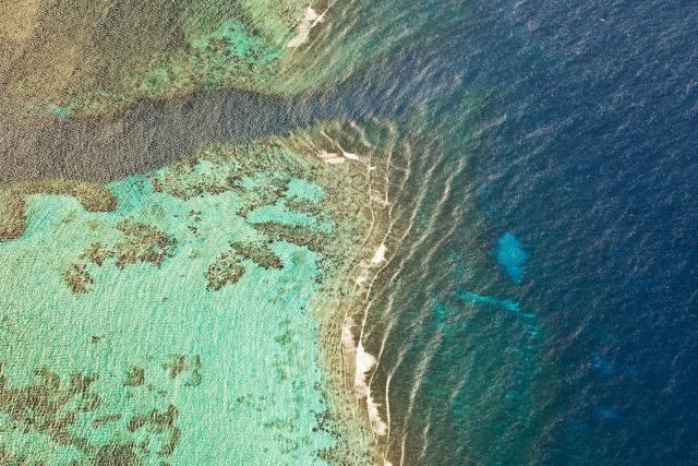 Aerial view of Roatan. Bay Islands, Honduras, Central America.