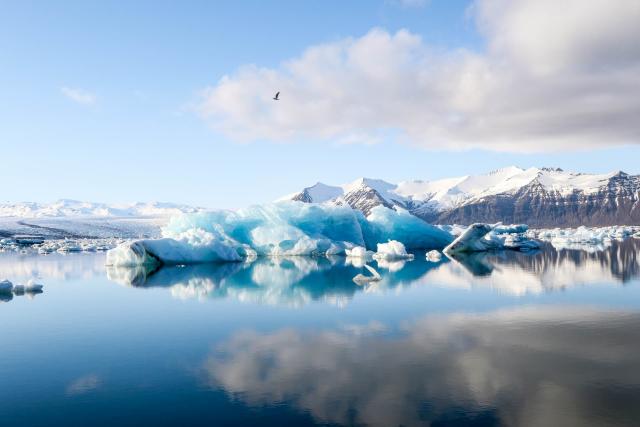 Ice floating in the sea