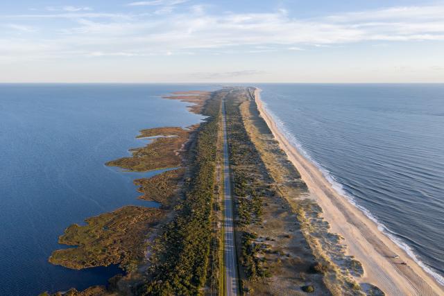 A stretch of land with trees