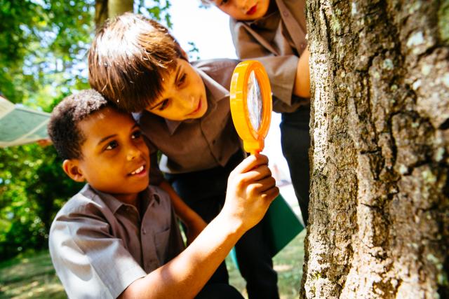 Our Planet citizen science pilot using the iNaturalist platform with students of St Andrews School, Horsell. Surrey, UK.