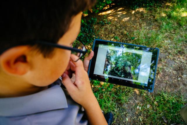 Our Planet citizen science pilot using the iNaturalist platform with students of St Andrews School, Horsell. Surrey, UK.