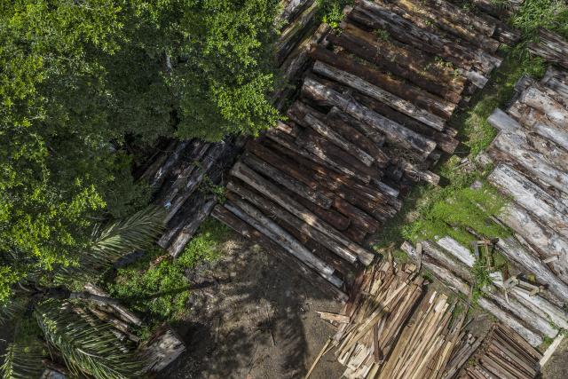 Timber seized over five years ago stored at the Environmental Police Battalion, Porto Velho, Rondônia.
