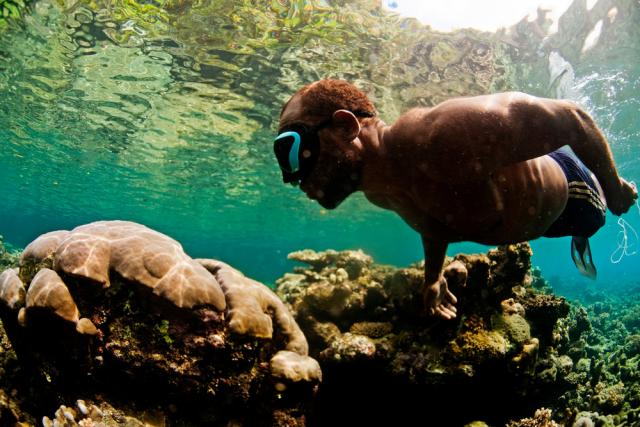 A local dives for trochus on Tetepare, Solomon Islands.