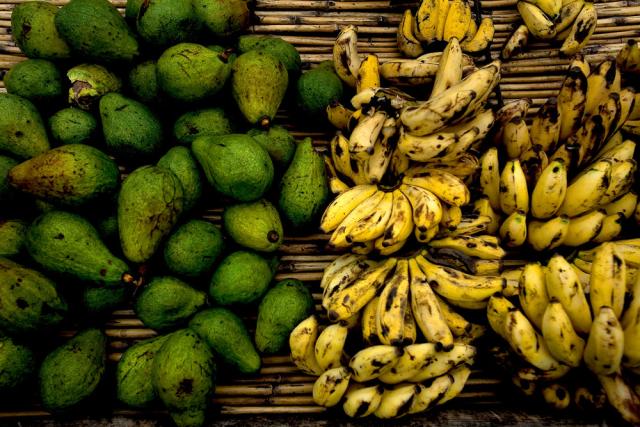 Bananas and avocados, which are grown near the Virunga National Park