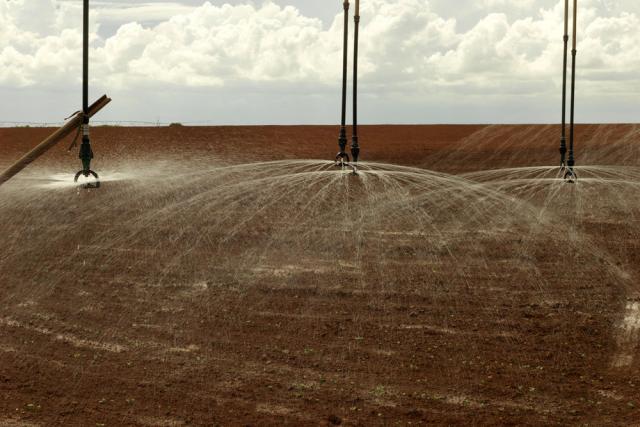 Remote controlled giant water sprinklers spray soy crops