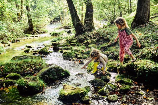 Children play in a stream