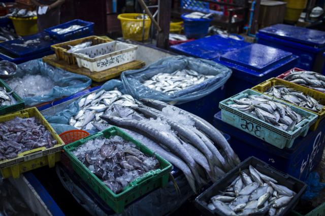 Raw fish selling in the market Dawei township, Tanintharyi division, Myanmar.