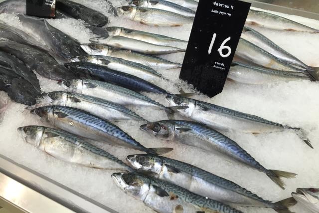 Atlantic Mackerel, Thailand