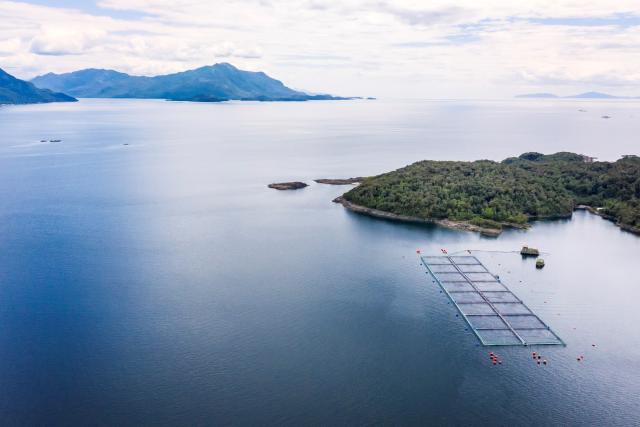 Salmon Farm in Aysen Region, Chile