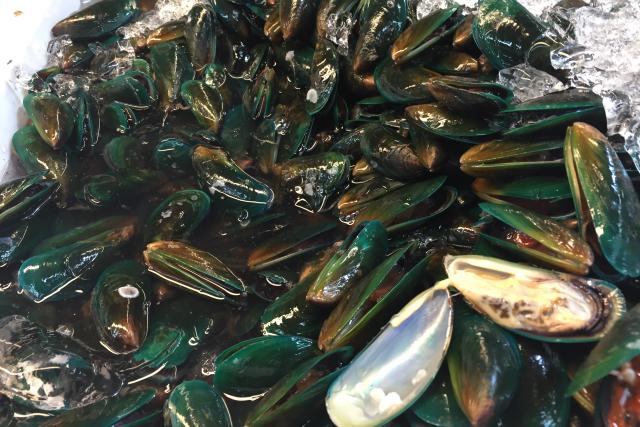 Green mussels, Thailand 