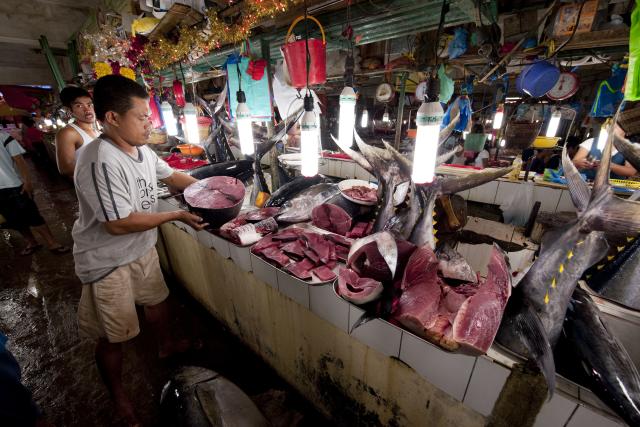 Palawan fish market selling tuna. Puerto Princesa, Palawan, Philippines. 9 April 2009