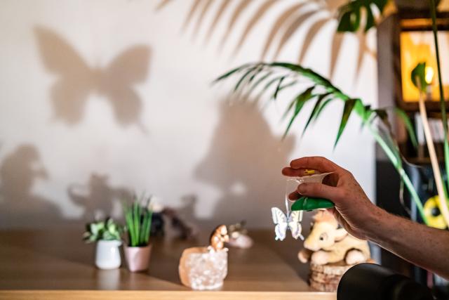 Shadow story telling, Earth Hour Wales