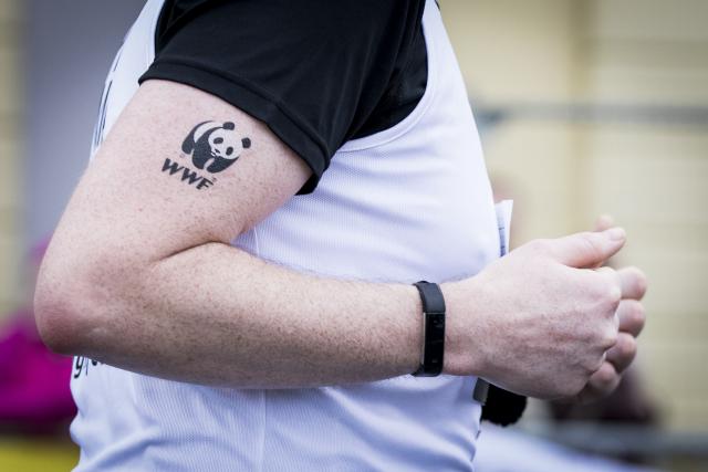 A close up on a runner's arm with a WWF tattoo on his bicep