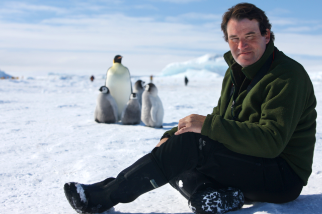 Alastair Fothergill with penguins.