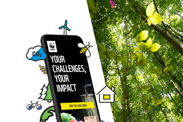 download the My Footprint App