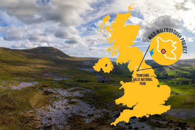 Wild Ingleborough Map