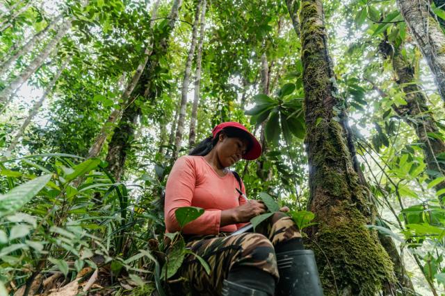Chela Elena Umir, from the La Chorrera indigenous community and member of the Ecosystem Services Assessment  (ESA) Technical Team, makes notes, as the team conducts an ecosystem service assessment of the forest surrounding La Chorrera, Predio Putumayo Indigenous Reserve, Department of Amazonas, Colombia.