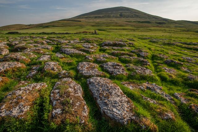 Exposed limestone pavement on the lower slopes of Ingleborough mountain in the Wild Ingleborough project site.
