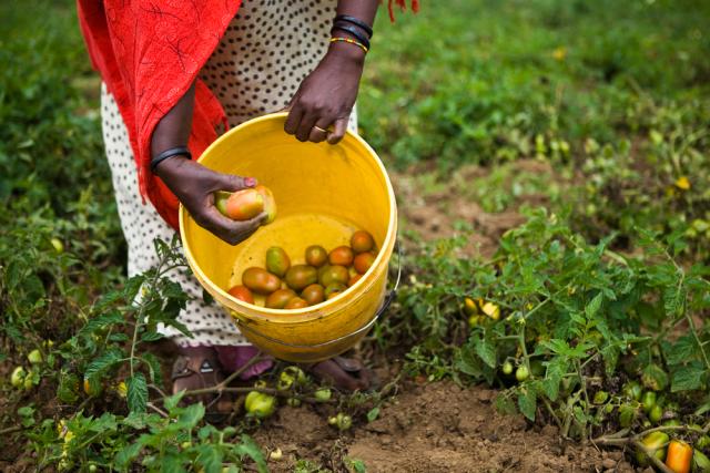 Zaineb Malicha, farmer, Chemi Chemi, Lake Naivasha, Kenya