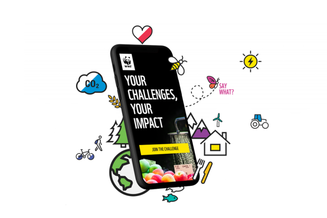 App challenge screen