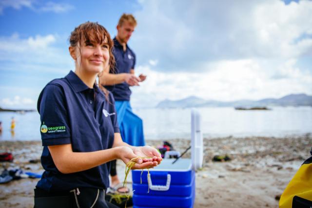 Seagrass volunteers