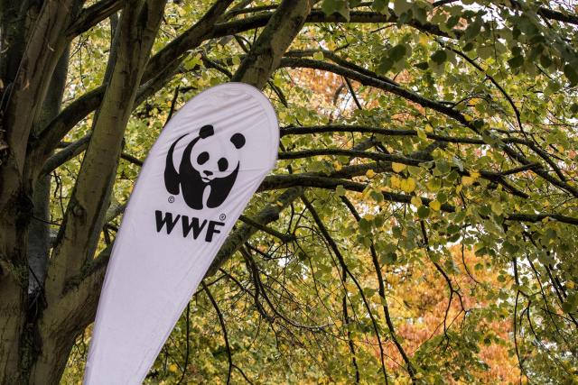 WWF Flag