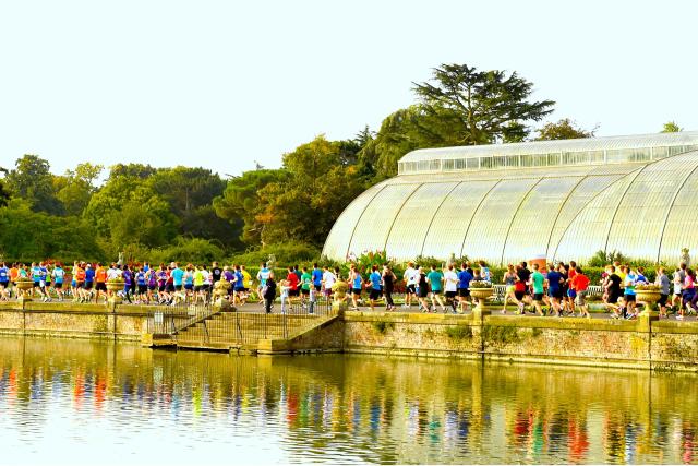 Runners passing the Palm building at Kew Gardens