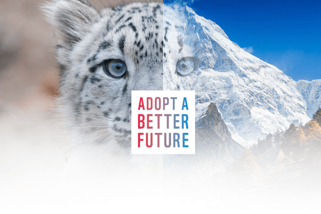 Adopt a better future