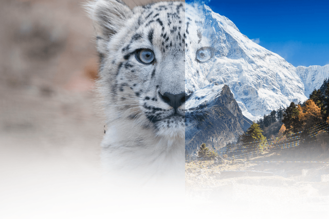 test header