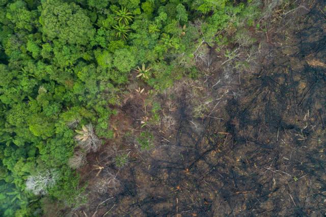 Aerial view of deforestation of the Amazon rainforest