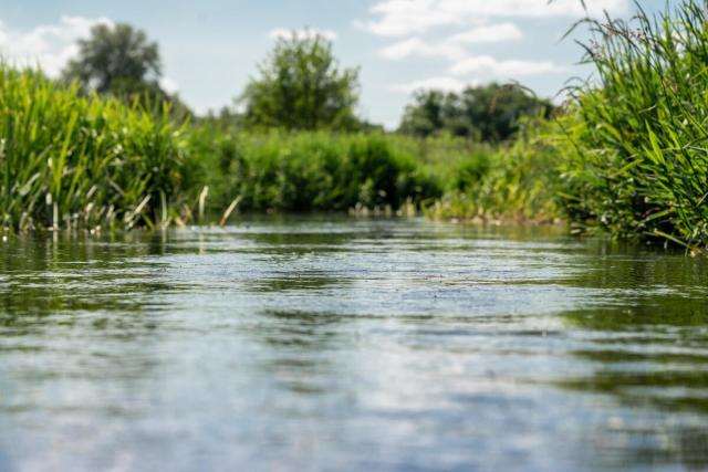  Photo of the waterway and the wild plants that verge onto the river from an abundant wildflower meadow in Norfolk, UK