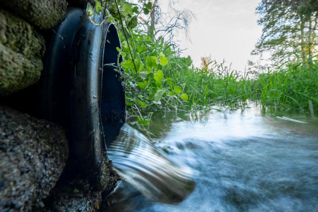 Water running from water treatment works into filtration ponds before the water reaches a river in Norfolk, UK. © Joseph Gray / WWF-UK