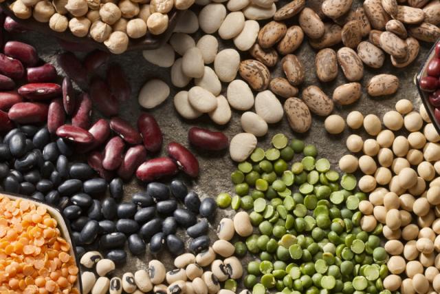 A variety of beans