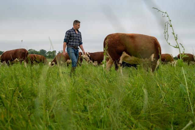 Farmer in field