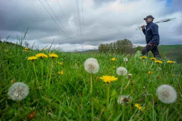 Farmer in field