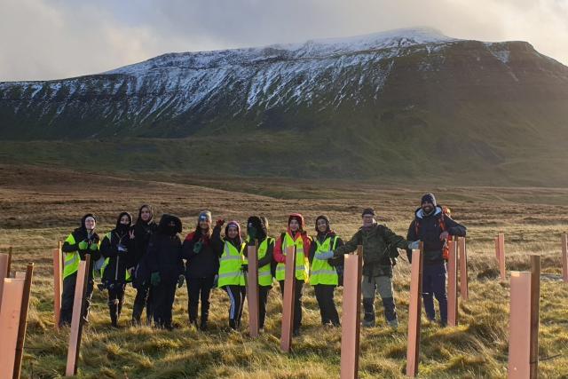 Wild Ingleborough group in field