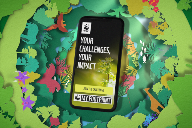 My Footprint App