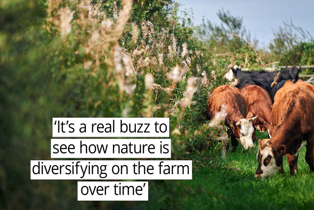 t’s a real buzz to see how nature is diversifying on the farm over time.