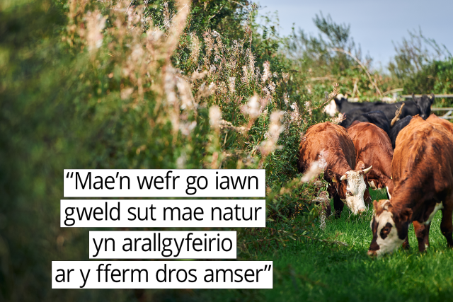 ‘Mae’n wefr go iawn gweld sut mae natur yn arallgyfeirio ar y fferm dros
