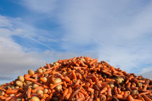 Six billion meals’ worth of edible food goes to waste