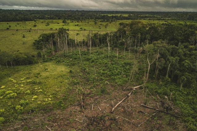 Aerial view of Amazon deforestation, municipality of Calamar, Guaviare Department, Colombia.