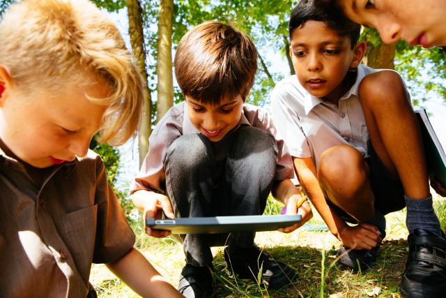 Schoolground nature survey