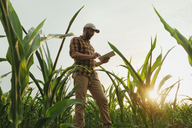 Conservation work on farms