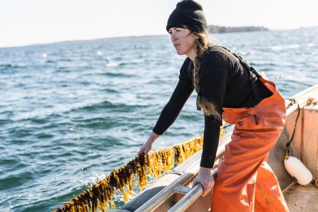 Seaweed farmer