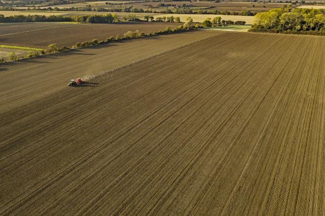 Since the 1970s, UK farming has simplified and intensified, providing less and less habitat for native wildlife