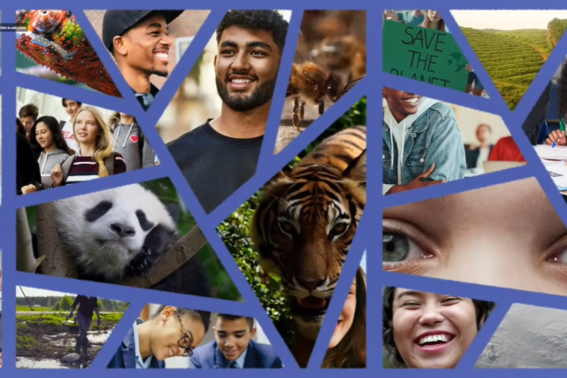 Sustainable Futures banner