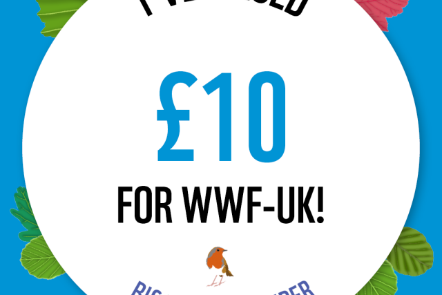 WWF The Big Winter Wander - £10 Raised Badge