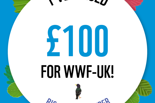 WWF The Big Winter Wander - £100 Raised Badge