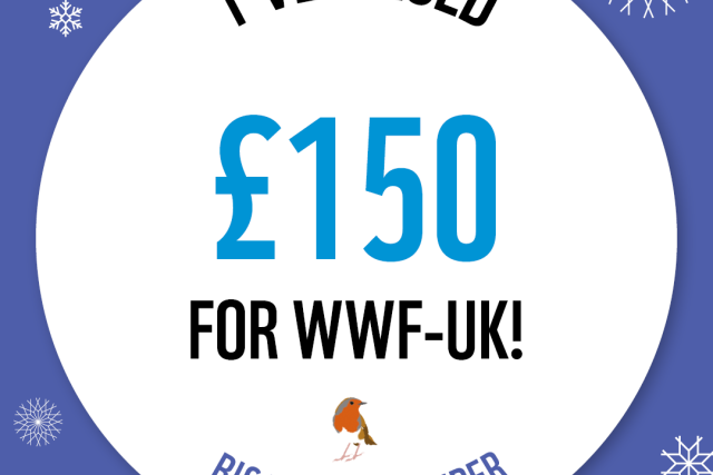 WWF The Big Winter Wander - £150 Raised Badge